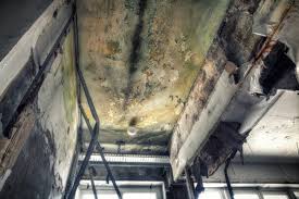 Best Asbestos and Lead Testing During Mold Inspection  in Groveland, FL